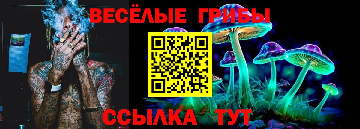 Псилоцибиновые грибы Psilocybe Кушва